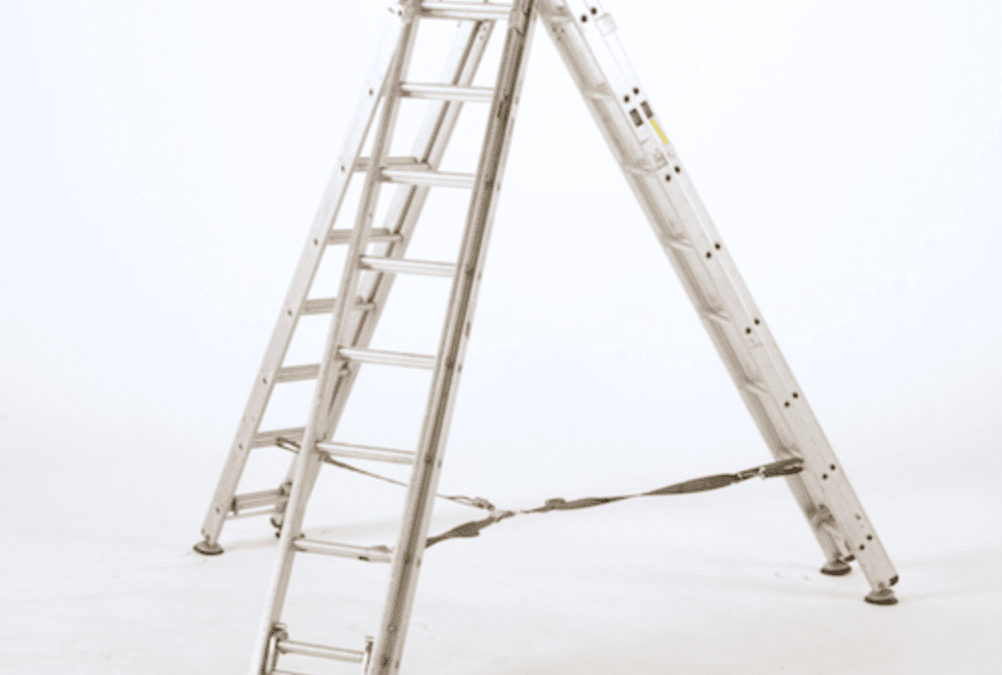 Ladderpod